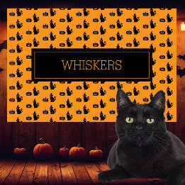 ハロウィーンの黒猫のかぼちゃペットプレート ラミネート プレート