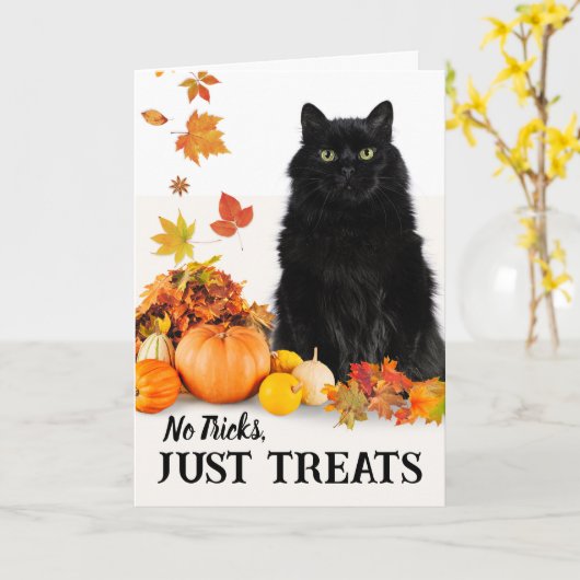 ハロウィーンの黒猫を扱うトリックはない カード (黄色い花)