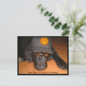 ハロウィーンをトリートメントまたは治療しない悲しい ポストカード (スタンド正面)