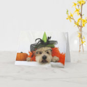 ハロウィーンカード,ユーモア,犬のかわいい,魔女,カボチャ カード (黄色い花)