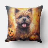 ハロウィーンカーンテリアとカボチャ怖い クッション (正面)
