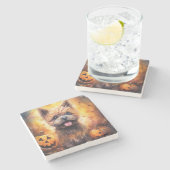 ハロウィーンカーンテリアとカボチャ怖い ストーンコースター (横)