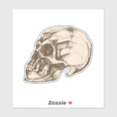 ハロウィーンクランイムビニル シール (シート)