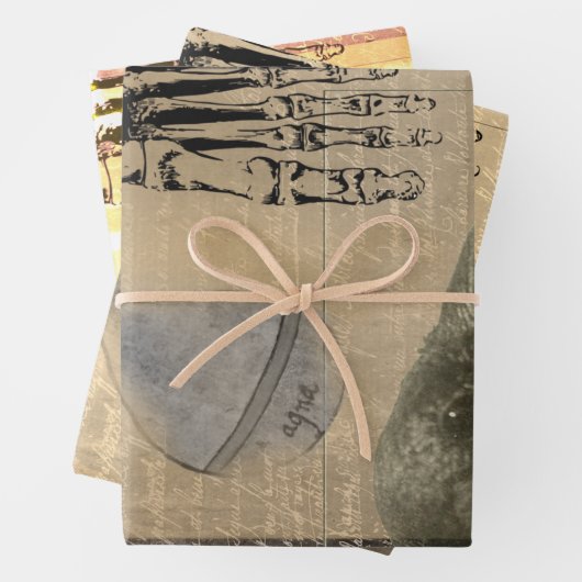 ハロウィーンクリームクロウヴィンテージエフェメラ ラッピングペーパーシート (インサイチュ)