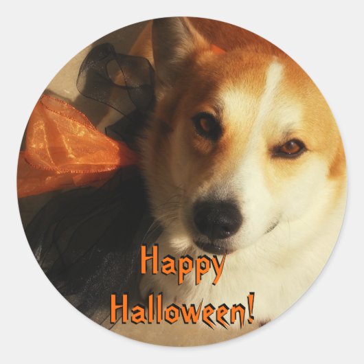 ハロウィーンコルギステッカー ラウンドシール (正面)