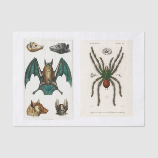 ハロウィーンコレクションデコパージュ 薄葉紙 (正面)