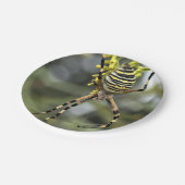 ハロウィーンスパイダー紙プレート ペーパープレート (アングル)