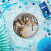 ハロウィーンスパイダー紙プレート ペーパープレート (パーティー)