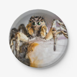 ハロウィーンスパイダー紙プレート ペーパープレート