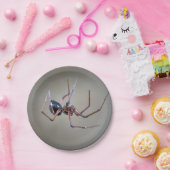 ハロウィーンスパイダー紙プレート ペーパープレート (パーティー)