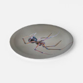 ハロウィーンスパイダー紙プレート ペーパープレート (アングル)