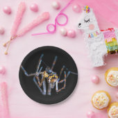 ハロウィーンスパイダー紙プレート ペーパープレート (パーティー)