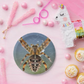 ハロウィーンスパイダー紙プレート ペーパープレート (パーティー)