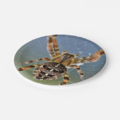 ハロウィーンスパイダー紙プレート ペーパープレート (アングル)