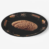 ハロウィーンゾンビの脳をディナーに ペーパープレート (アングル)