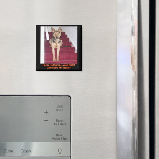 ハロウィーンドイツシェパードドッグノートリート マグネット (インサイチュ (冷蔵庫))