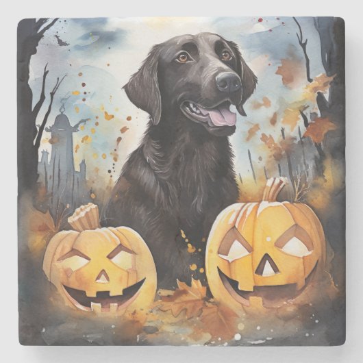 ハロウィーンノバスコシアとカボチャ怖い ストーンコースター (正面)