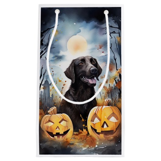 ハロウィーンノバスコシアとカボチャ怖い スモールペーパーバッグ (正面)