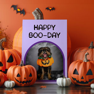 ハロウィーンハッピーバースデーカード カード
