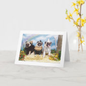 ハロウィーンパグズライオンカカクレクルーティンマン カード (黄色い花)