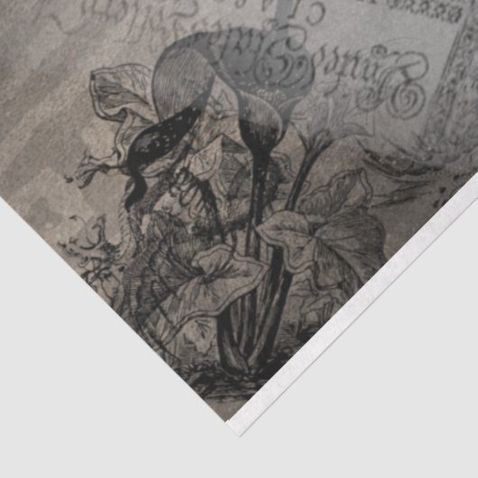 ハロウィーンフクロウファミリーヴィンテージエフェメラ 薄葉紙 (詳細)