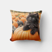 ハロウィーンブラックキットオンアパンプキン クッション (正面)