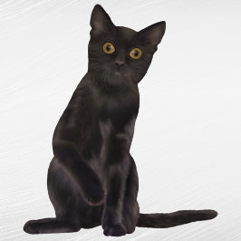 ハロウィーンブラックキャットウォーター色 シール