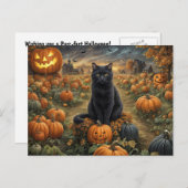 ハロウィーンブラックキャットカボチャパッチかわいい シーズンポストカード (正面/裏面)