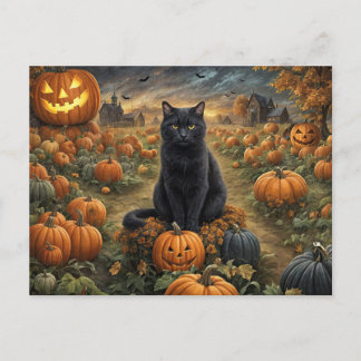ハロウィーンブラックキャットカボチャパッチかわいい シーズンポストカード