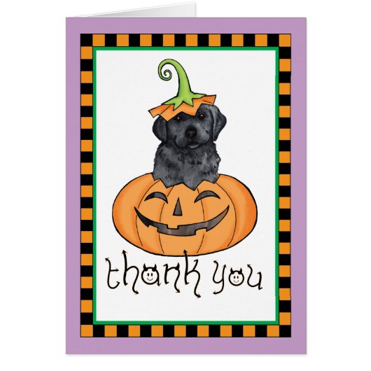 ハロウィーンブラックラボ (正面)