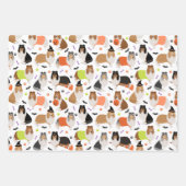 ハロウィーンラフ・コリー ラッピングペーパーシート (正面3)