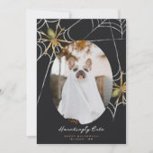 ハロウィーン写真の挨拶 シーズンカード (正面)