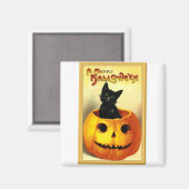 ハロウィーン子猫座ってハロウィーンのカボチャのちょうちん マグネット (正面/裏面)