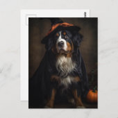 ハロウィーン愛らしい魔女ベルネーゼマウンテンドッグ ポストカード (正面/裏面)