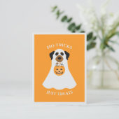 ハロウィーン犬を扱うトリックはない ポストカード (スタンド正面)