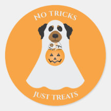ハロウィーン犬を扱うトリックはない