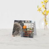 ハロウィーン猫カード カード (黄色い花)