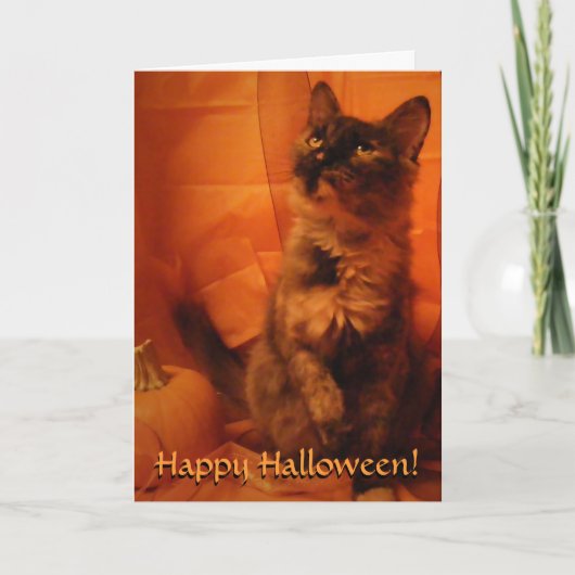 ハロウィーン猫カード カード (正面)