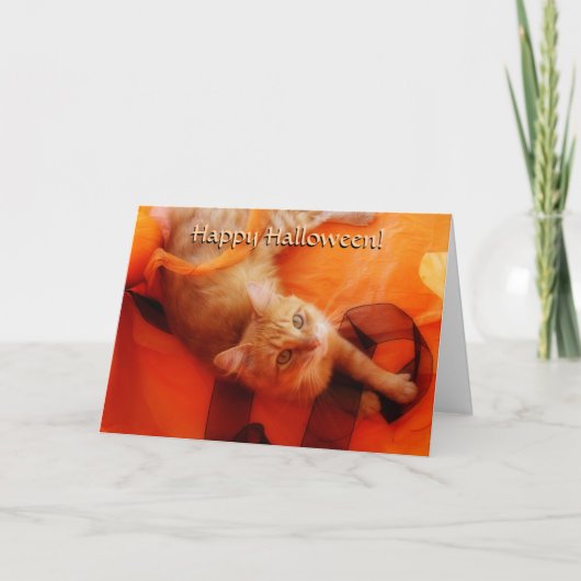 ハロウィーン猫カード カード (正面)