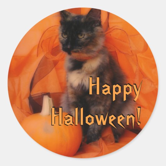 ハロウィーン猫ステッカー ラウンドシール (正面)