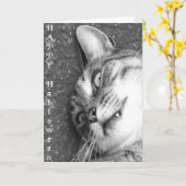 ハロウィーン猫 カード (黄色い花)