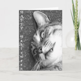 ハロウィーン猫 カード