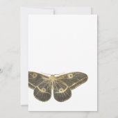 ハロウィーン結婚ゴシック更新招待状 招待状 (裏面)