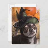 ハロウィーン魔女犬 ポストカード (正面/裏面)