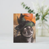 ハロウィーン魔女犬 ポストカード (スタンド正面)