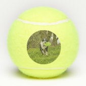 ハロウィーン フランケンウォーク パーソナライズ 面白い 犬 テニスボール (裏面)