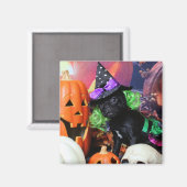 ハロウィーン – プグ – デイジーメイ マグネット (正面/裏面)