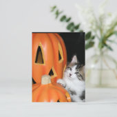 ハロウィーンJemはがき ポストカード (スタンド正面)