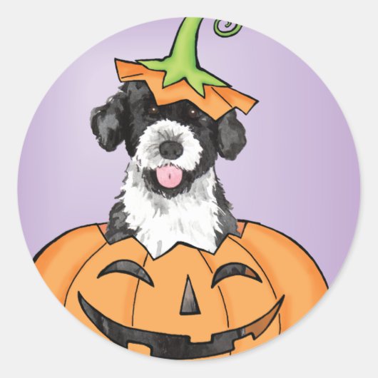 ハロウィーンPWD ラウンドシール (正面)