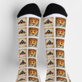 ハロウィ不気味ン ソックス (上部)